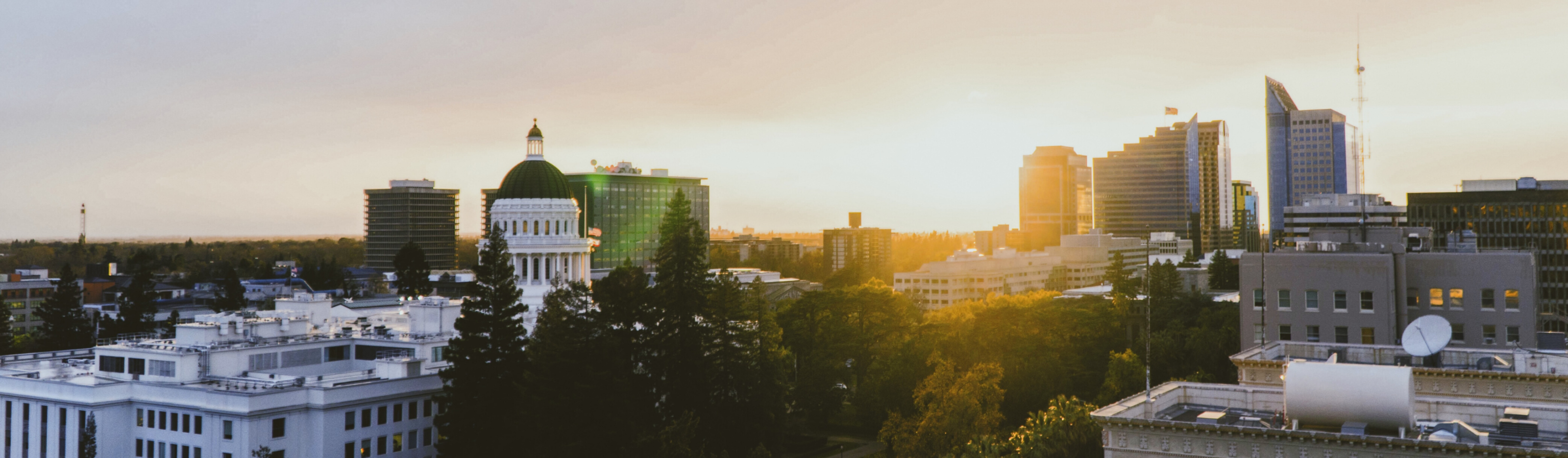 small city skyline with trees at sunset